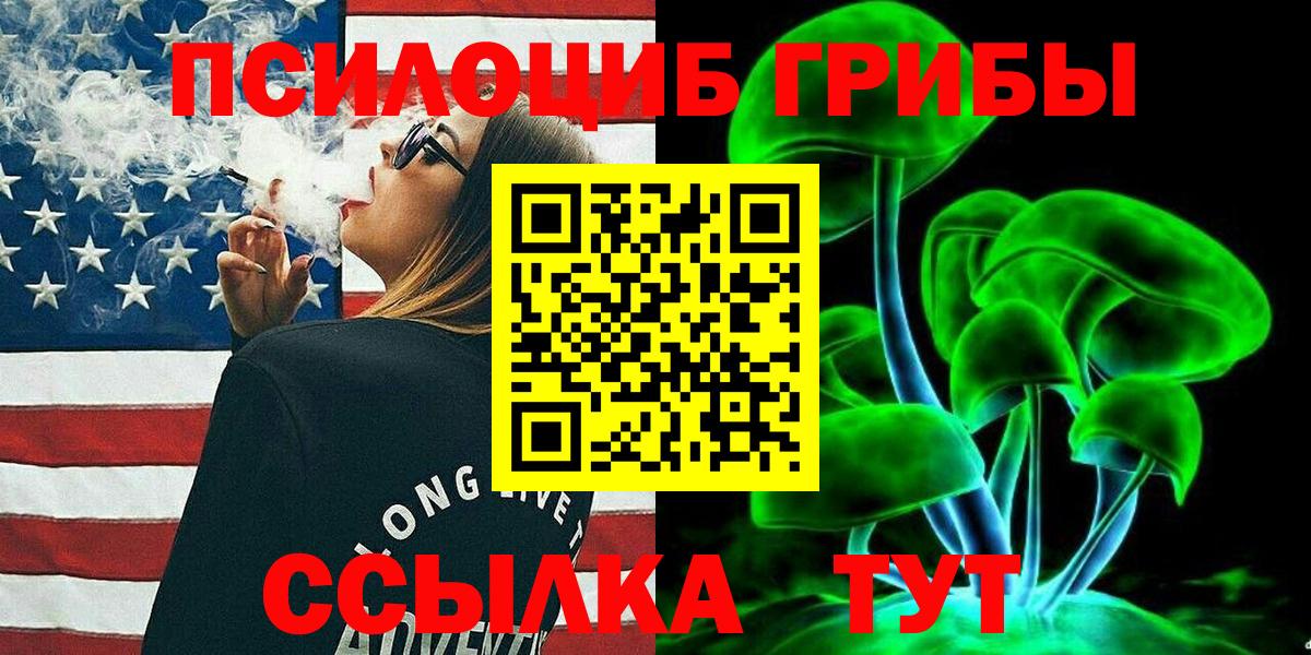 где найти наркотики  Галлюциногенные грибы Psilocybe  Вход с VPN  Чайковский 