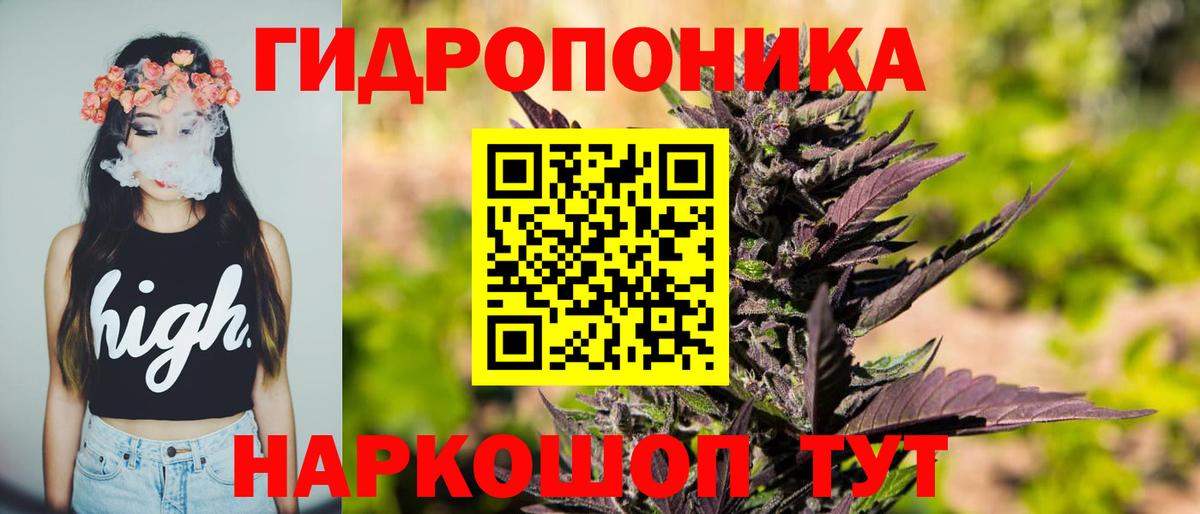 Марихуана Bruce Banner  Вход с VPN  Шишки марихуана сатива  Чайковский 